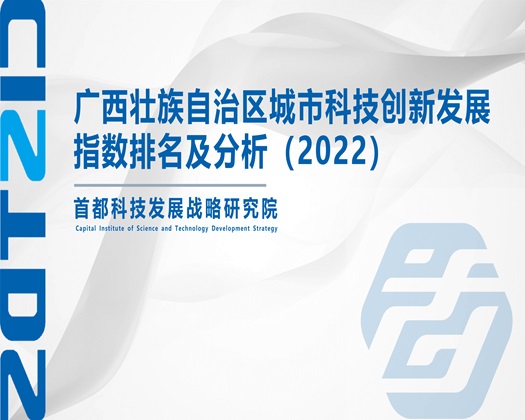 17c视黄操【成果发布】广西壮族自治区城市科技创新发展指数排名及分析（2022）